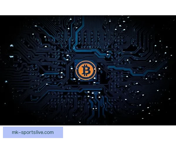 拉齐奥动态解析努诺塔瓦雷斯成长与佩德罗诺斯林竞争态势