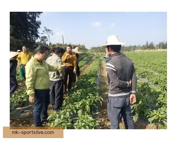 精准分析与实战经验助力体育竞猜稳稳赚，专家推荐引领投资方向
